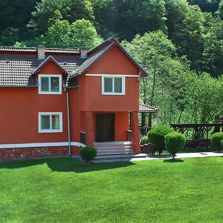 Casa Retezat Villa Riu de Mori Luaran gambar