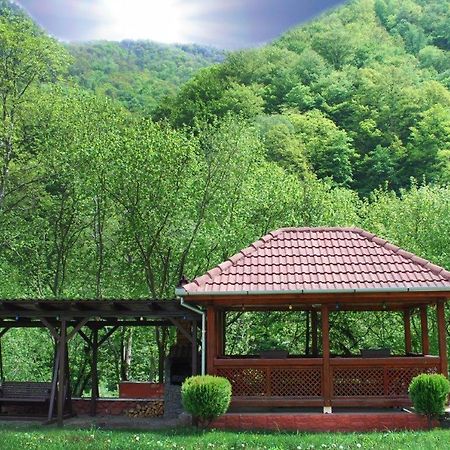 Casa Retezat Villa Riu de Mori Luaran gambar