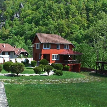 Casa Retezat Villa Riu de Mori Luaran gambar