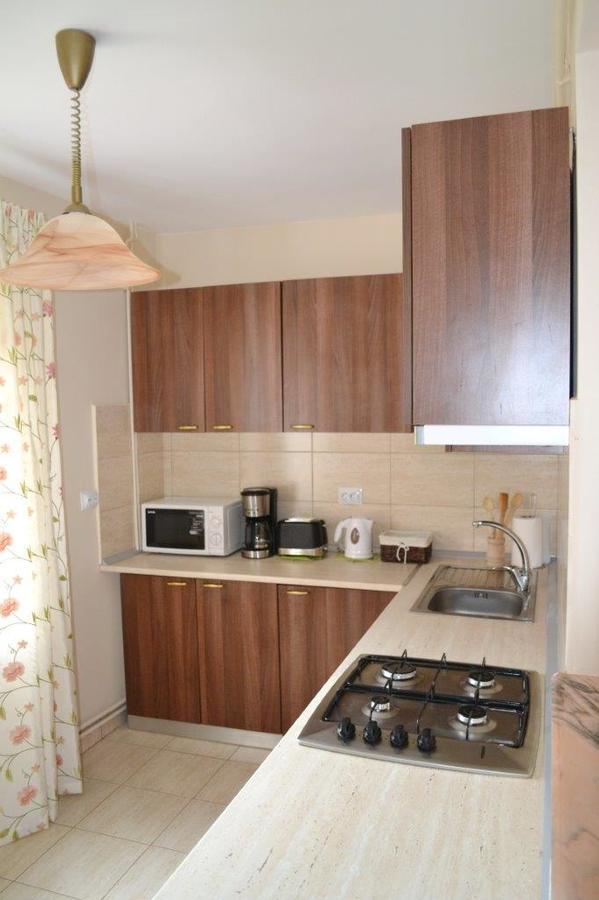 Casa Retezat Villa Riu de Mori Luaran gambar