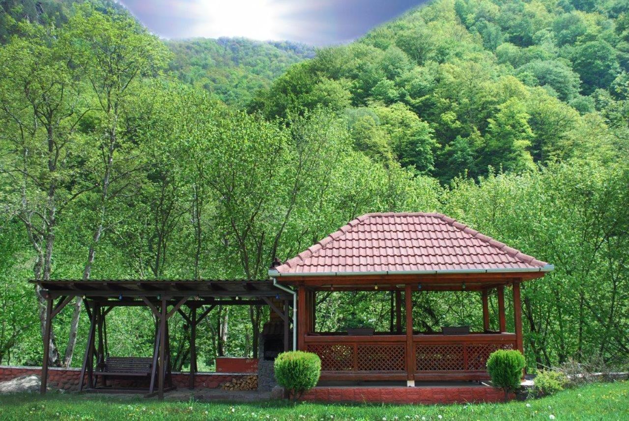 Casa Retezat Villa Riu de Mori Luaran gambar