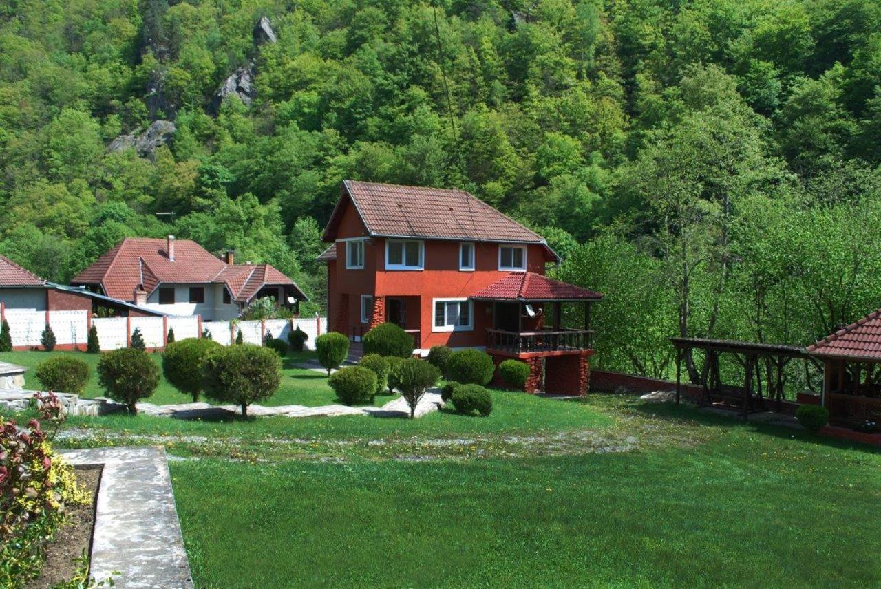 Casa Retezat Villa Riu de Mori Luaran gambar