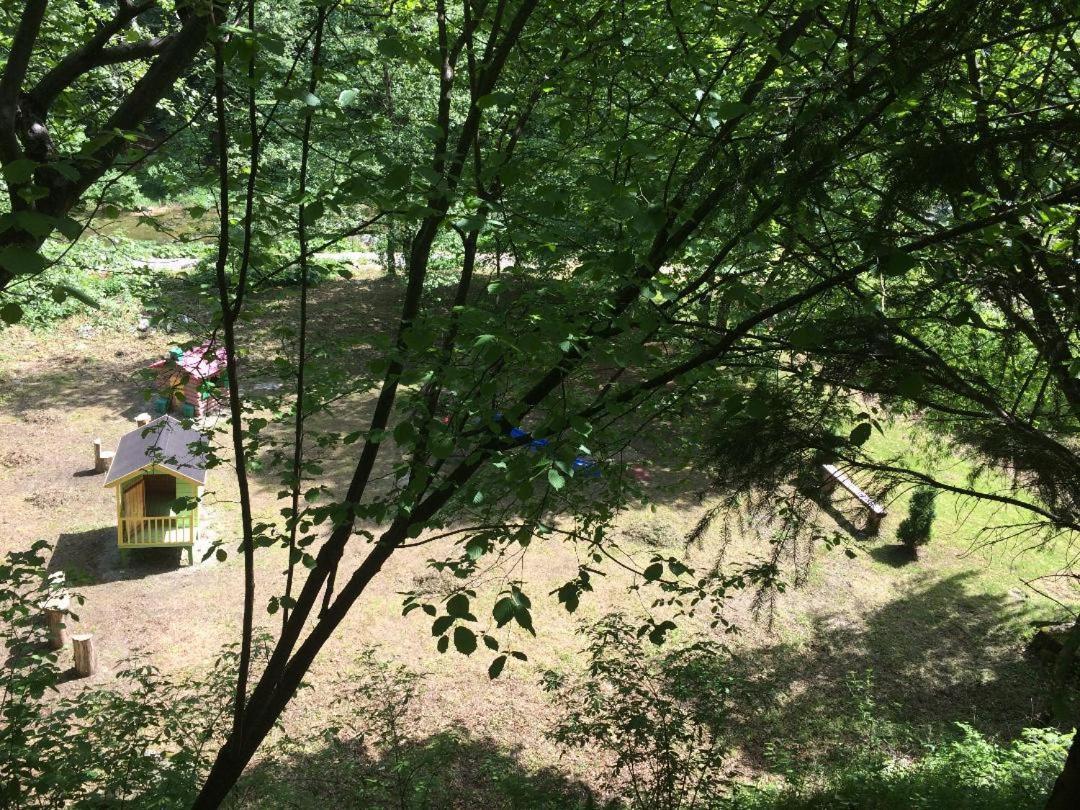 Casa Retezat Villa Riu de Mori Luaran gambar